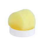 Cintronella Mosquito Repellent Gel Fragrant Cockroach Camphor Oil Repellent Pest Control
