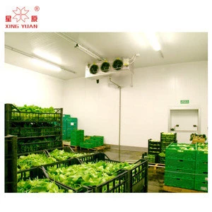 Cold storage cold stores for vegetable like potato, carrots, onions