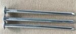 Common Galvanized Iron Polished Iron Nail with with silver bright finish used in construction