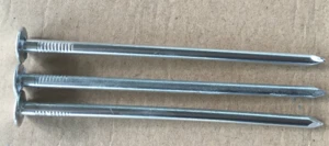 Common Galvanized Iron Polished Iron Nail with with silver bright finish used in construction