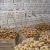 Import Competitive price fresh fat ginger with super quality for export from China