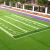 Import Competitive Price Soccer Cesped Artificial Futbol Grass for Football Ground from China