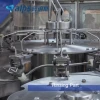 Complete Water Production Line with CE Certificate