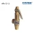 Import COVNA DN50 2 inch NPT / BSPT Thread Brass Bronze Safety Relief Valve with Lever from China
