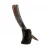 Import Cow horn Exporter from India from India