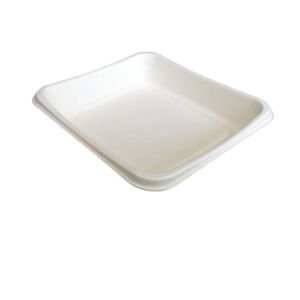 Custom Biodegradable Sprouting Tray Eco-Friendly Sugarcane Bean Sprouts seedling Tray