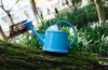 Custom galvanized decorative bonsai garden mini  plastic watering can