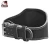 Import Custom Gym Protective Adjustable Leather Weightlifting Belt FP-59 from Pakistan