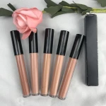 Custom Your Brand Wholesale Lip Gloss Private Label Moisturizing Nude Liquid Lipgloss