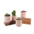 Import Customized pattern embossed cheap wholesale small garden decoration ceramic planters / home decor succulent plants flower pots from China