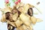 Import Detan Snacks healthy dried organic shiitake  mushroom chips from China