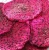 Import Dried dragon fruit from Vietnam