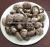 Import Dried Flower Shiitake Mushrooms from China