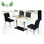 DT-16 High Quality Home Furniture Wood and Metal Coffee Restaurant Table and Chairs Dining Chair Set