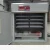 Import Egg incubator automatic temperature humidity incubator from China
