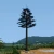 Import Environmentally friendly 30m camouflage palm monopole communication antenna tower from China