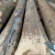 Import europe wood bilinga white ash sawn logs oak log from China