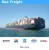 Import Excellent Service Sea Freight Rates To Saudi Arabia from China