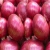 Import Exporter of onion from USA from South Africa