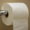 Factory direct Hygenic Soft Absorbent Flushable white 100% Virgin 2 ply Toilet Paper