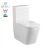 Import Factory directly supplies ceramic two-piece P-trap or S-trap wc washdown toilet 6010 from China