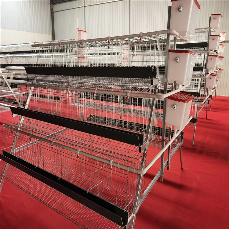Factory supplies battery cage layer chicken cage for sale