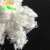 Import Factory Supply 100% Polyester Staple Fiber from China