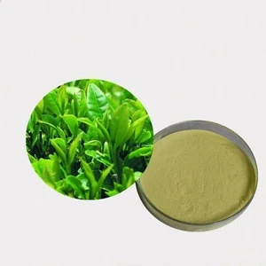 Factory supply Health Product Green Tea Extract 98%Tea Polyphenol