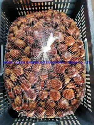 Factory Supply Sweet Dandong Fresh Honey Chestnuts for Sale, Freshly Chestnuts 30-40 Pieces/Kg