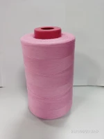 Factory Use Home Use Hot Selling Thread China Sewing Tread 402/2 Embroidery Thread Sewing