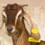 Import for Goat Sheep Pig 1-100 Number Practical Plastic Livestock Ear Tag Animal Tag from China