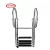 Import FOYO Brand Stainless Steel 4 Step Telescoping Bathing Ladder Yacht Ladder With Factory Price from China