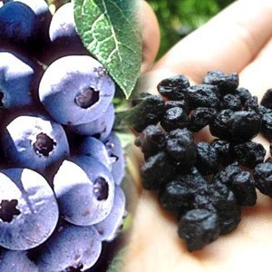Freeze dehydrate blueberrie