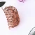 Import french ponitail  hair claw clear woman hair claw clip hair clip claw plastic wholesale from China