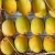 Import Fresh Alphonso Mangoes In Online from India