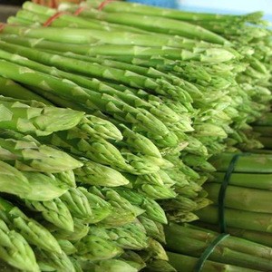 Fresh Asparagus High Quality From Thailand