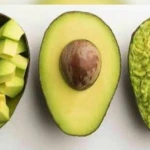 Fresh AVOCADO FRUIT for sale GOOD PRICE,