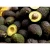 Import FRESH AVOCADO with HIGH QUALITY and BEST PRICE from Germany