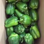 Fresh Bell Peppers/Color Capsicum/Exotic Vegetables!!