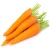 Import Fresh Carrots Export Vegetables in Bangladesh market of 2019 from Bangladesh