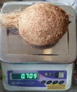 Fresh coconut