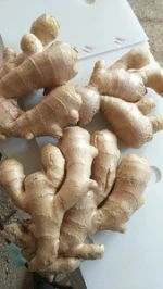 Fresh Ginger