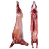 Fresh Halal Goat Meat