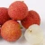 Import fresh lychee factory from China