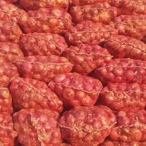 Fresh Organic A Grade Export Quality Onions - Red Onions OEM Packing