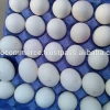 Fresh white and brown chicken eggs from Ukraine