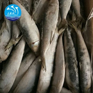 Frozen Fresh Sardine Fish in Fishing type of Canned,Fishing bait on land