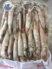 Frozen Japanese Squid 100-150g Wholesale