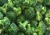 Import frozen vegetable broccoli 3-5cm,Frozen Broccoli,vegetable products frozen vegetables For Sale from South Africa