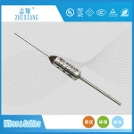 Fuse Components RY216 10A 250V Thermal Fuse Used In Massage Appliances